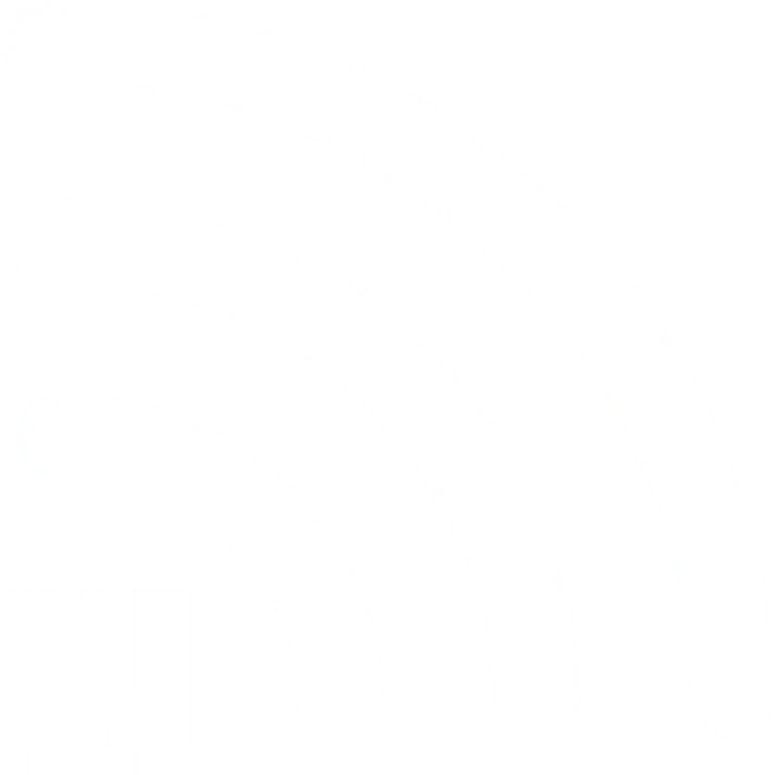 Willis Wireless logo